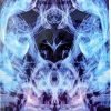 Buy Blue Kush Herbal Incense