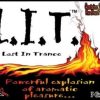 Buy Lost In Trance Herbal Incense Online