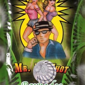 Buy Mr. Big Shot Herbal Incense Online